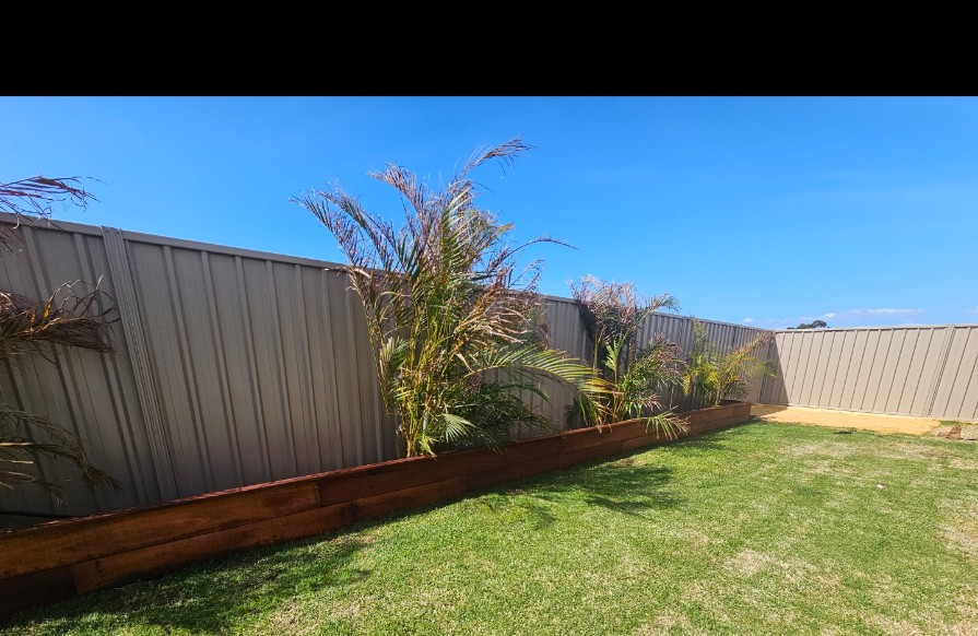 Completed Karnup garden bed with palms and timber edging