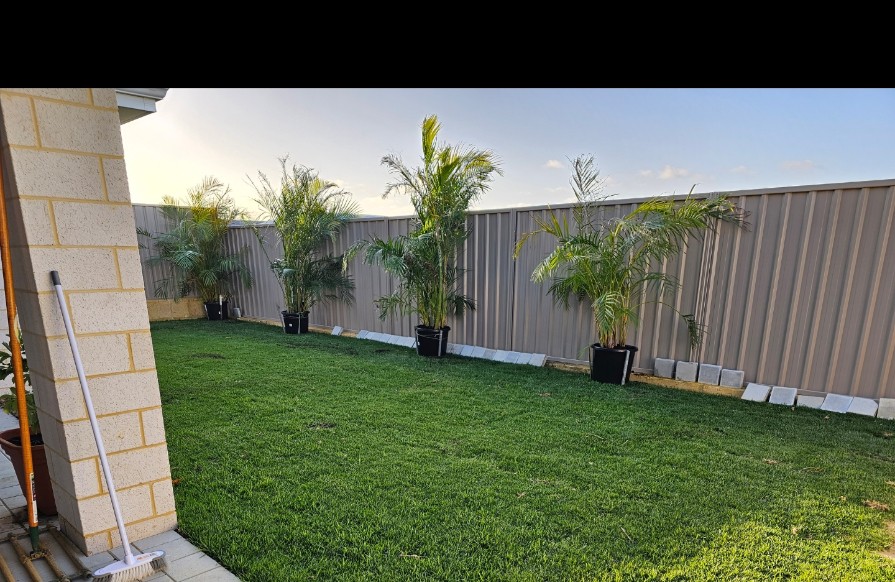 Karnup backyard with new green lawn after ground preparation