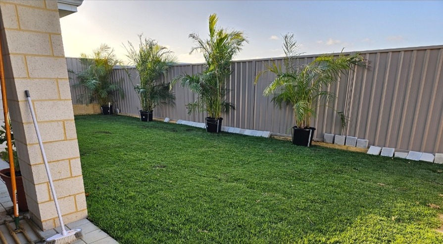 Karnup backyard with new green lawn after ground preparation
